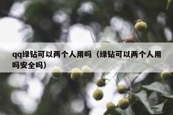 qq绿钻可以两个人用吗（绿钻可以两个人用吗安全吗） 第1张