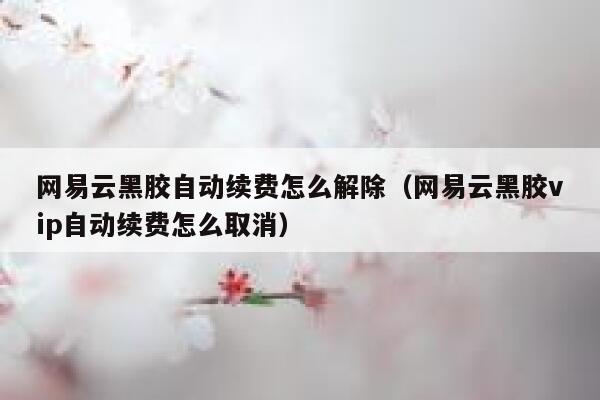 网易云黑胶自动续费怎么解除（网易云黑胶vip自动续费怎么取消） 第1张