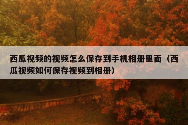 西瓜视频的视频怎么保存到手机相册里面（西瓜视频如何保存视频到相册） 第1张