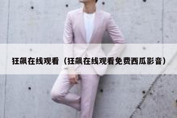 狂飙在线观看（狂飙在线观看免费西瓜影音） 第1张