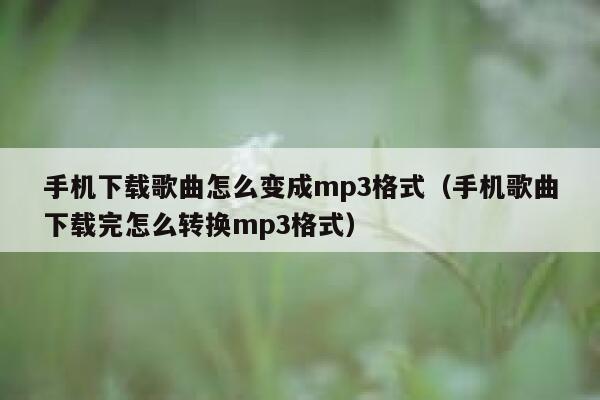 手机下载歌曲怎么变成mp3格式（手机歌曲下载完怎么转换mp3格式） 第1张