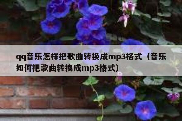 qq音乐怎样把歌曲转换成mp3格式（音乐如何把歌曲转换成mp3格式） 第1张