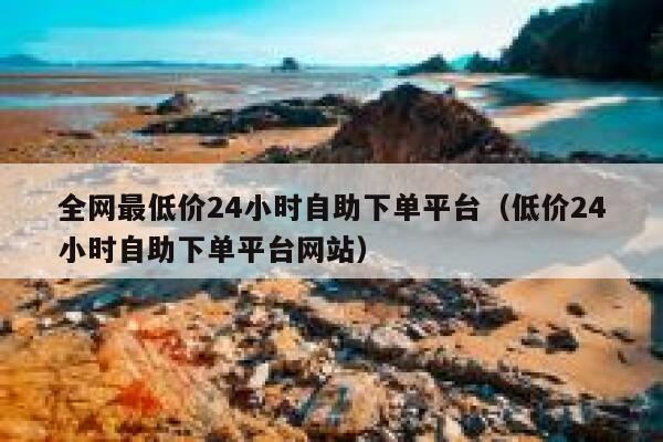 全网最低价24小时自助下单平台（低价24小时自助下单平台网站） 第1张