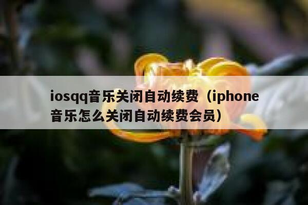 iosqq音乐关闭自动续费（iphone音乐怎么关闭自动续费会员） 第1张