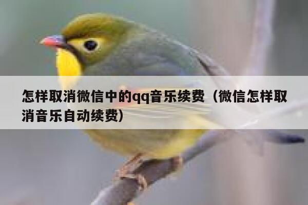 怎样取消微信中的qq音乐续费（微信怎样取消音乐自动续费） 第1张
