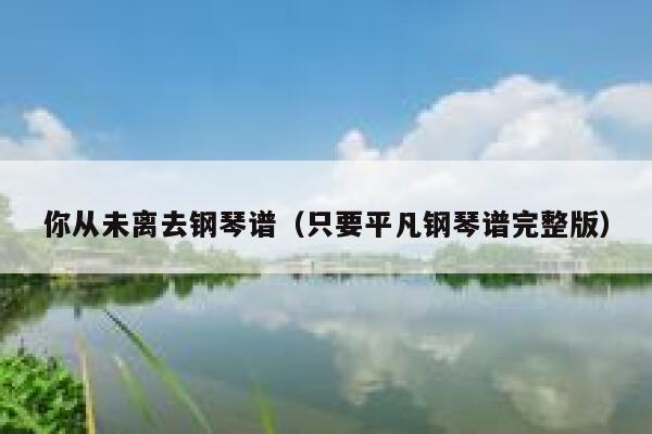 你从未离去钢琴谱（只要平凡钢琴谱完整版） 第1张