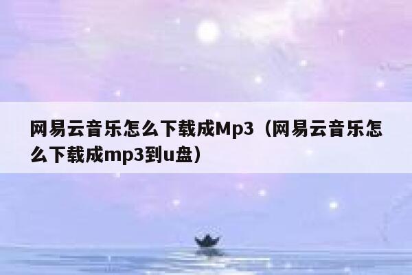 网易云音乐怎么下载成Mp3（网易云音乐怎么下载成mp3到u盘） 第1张