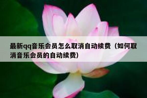 最新qq音乐会员怎么取消自动续费（如何取消音乐会员的自动续费） 第1张