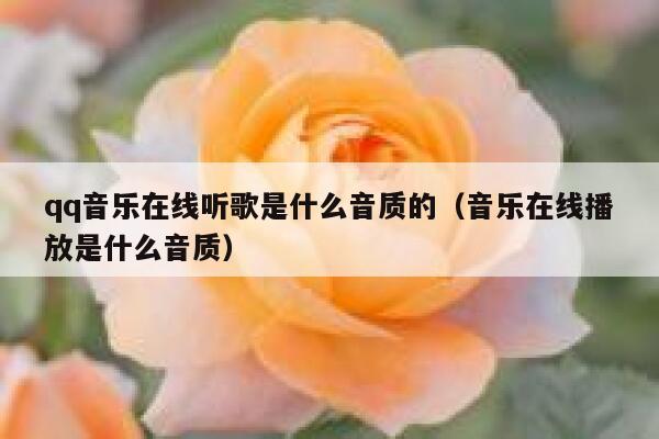 qq音乐在线听歌是什么音质的（音乐在线播放是什么音质） 第1张