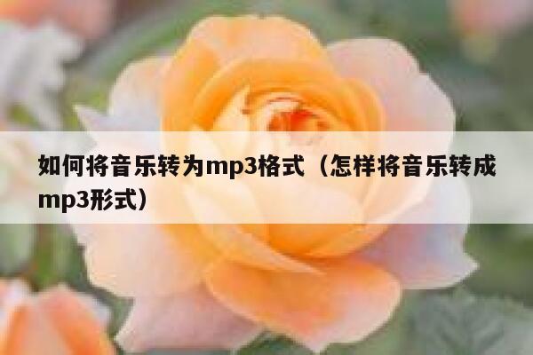 如何将音乐转为mp3格式（怎样将音乐转成mp3形式） 第1张
