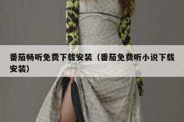 番茄畅听免费下载安装（番茄免费听小说下载安装） 第1张
