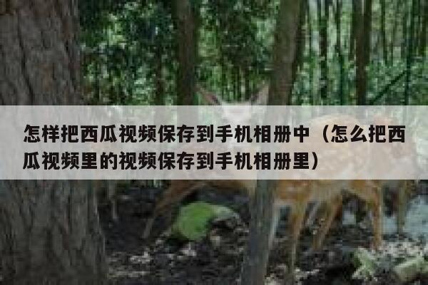 怎样把西瓜视频保存到手机相册中（怎么把西瓜视频里的视频保存到手机相册里） 第1张