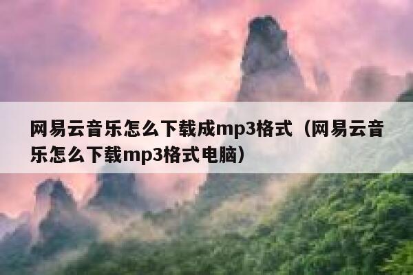 网易云音乐怎么下载成mp3格式(网易云音乐怎么下载mp3格式电脑) 第1张 网易云音乐怎么下载成mp3格式(网易云音乐怎么下载mp3格式电脑) 第1张