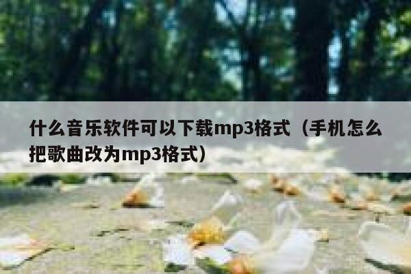 什么音乐软件可以下载mp3格式（手机怎么把歌曲改为mp3格式） 第1张