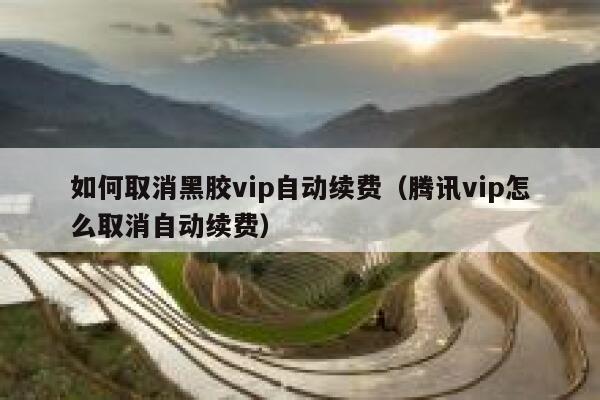 如何取消黑胶vip自动续费（腾讯vip怎么取消自动续费） 第1张