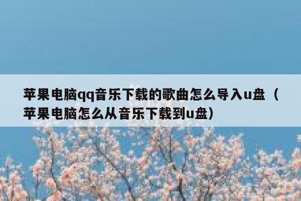 苹果电脑qq音乐下载的歌曲怎么导入u盘（苹果电脑怎么从音乐下载到u盘） 第1张