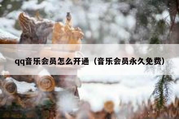 qq音乐会员怎么开通（音乐会员永久免费） 第1张