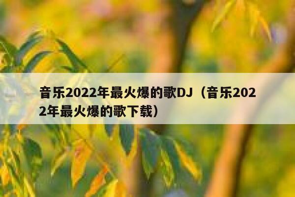 音乐2022年最火爆的歌DJ（音乐2022年最火爆的歌下载） 第1张