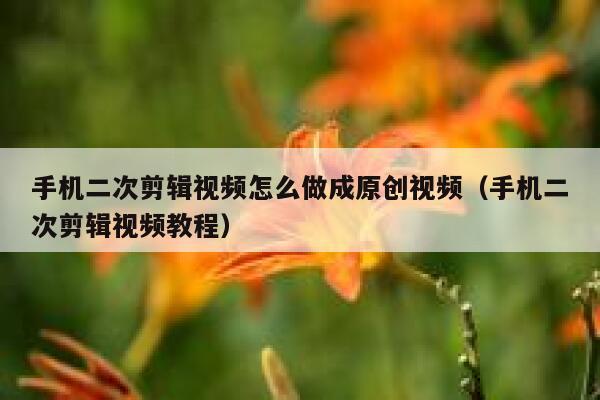 手机二次剪辑视频怎么做成原创视频（手机二次剪辑视频教程） 第1张