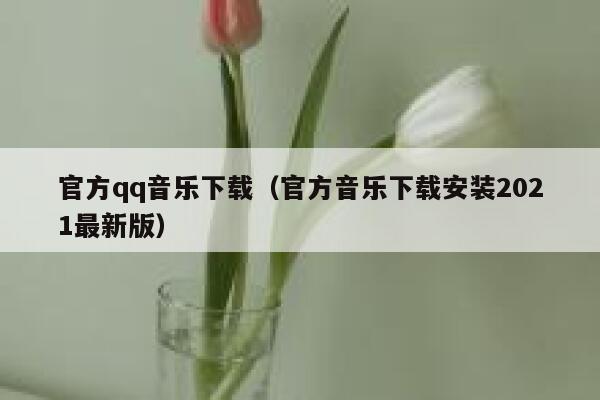 官方qq音乐下载（官方音乐下载安装2021最新版） 第1张
