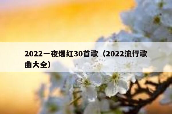 2022一夜爆红30首歌（2022流行歌曲大全） 第1张