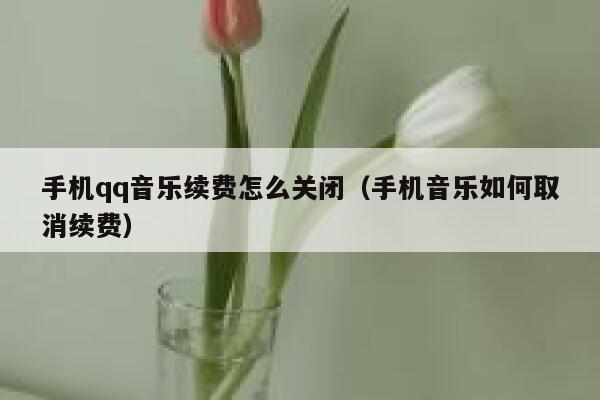 手机qq音乐续费怎么关闭（手机音乐如何取消续费） 第1张