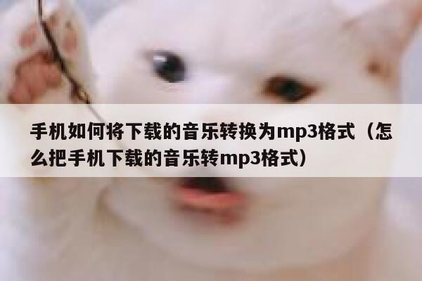 手机如何将下载的音乐转换为mp3格式（怎么把手机下载的音乐转mp3格式） 第1张