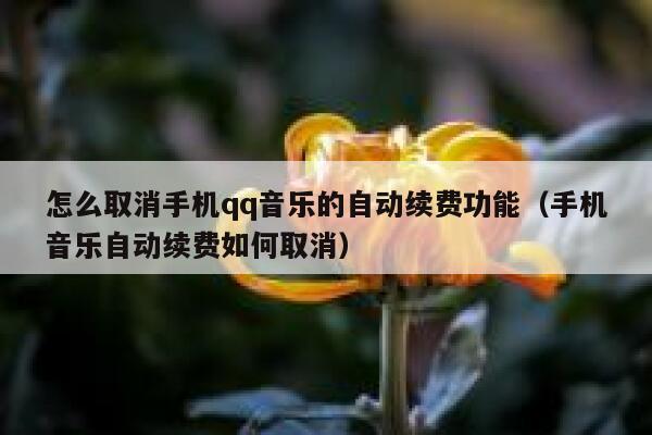 怎么取消手机qq音乐的自动续费功能（手机音乐自动续费如何取消） 第1张