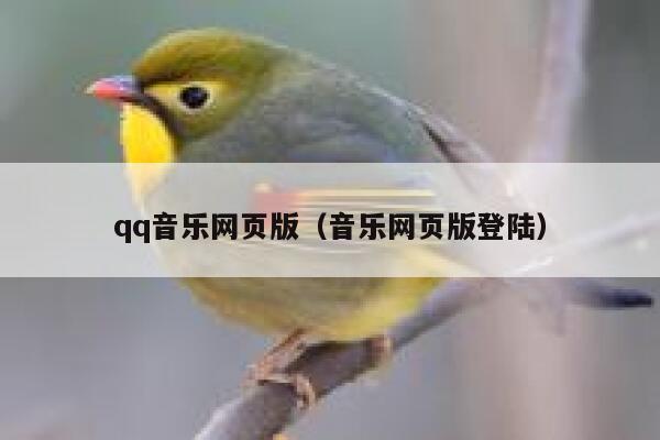 qq音乐网页版（音乐网页版登陆） 第1张