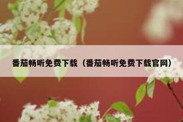 番茄畅听免费下载（番茄畅听免费下载官网） 第1张