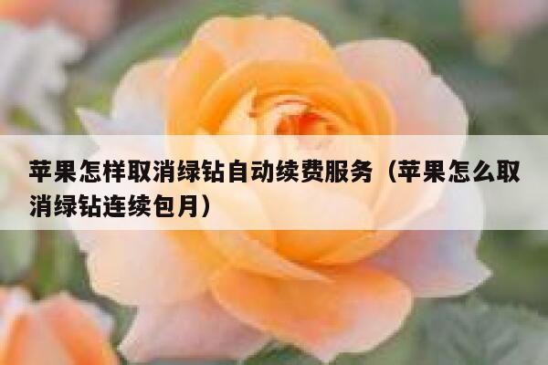 苹果怎样取消绿钻自动续费服务（苹果怎么取消绿钻连续包月） 第1张