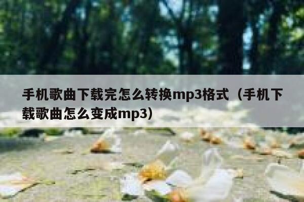 手机歌曲下载完怎么转换mp3格式（手机下载歌曲怎么变成mp3） 第1张