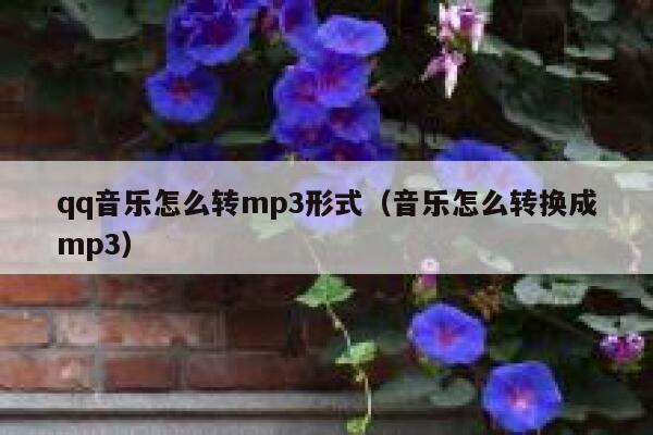 qq音乐怎么转mp3形式（音乐怎么转换成mp3） 第1张