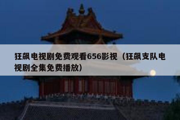狂飙电视剧免费观看656影视（狂飙支队电视剧全集免费播放） 第1张