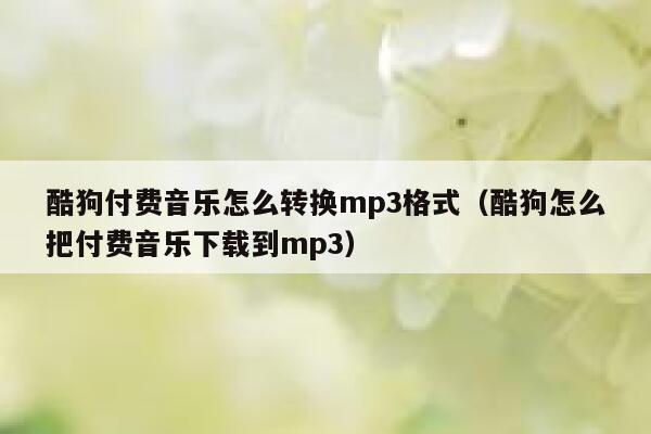 酷狗付费音乐怎么转换mp3格式(酷狗怎么把付费音乐下载到mp3) 第1张 酷狗付费音乐怎么转换mp3格式(酷狗怎么把付费音乐下载到mp3) 第1张