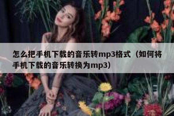 怎么把手机下载的音乐转mp3格式(如何将手机下载的音乐转换为mp3) 第1张 怎么把手机下载的音乐转mp3格式(如何将手机下载的音乐转换为mp3) 第1张