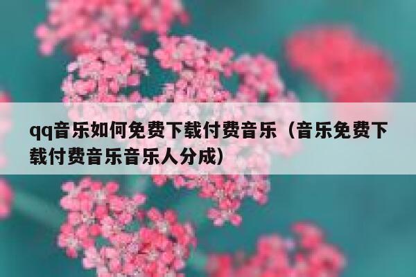 qq音乐如何免费下载付费音乐（音乐免费下载付费音乐音乐人分成） 第1张