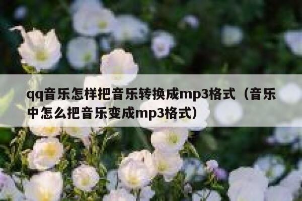 qq音乐怎样把音乐转换成mp3格式（音乐中怎么把音乐变成mp3格式） 第1张