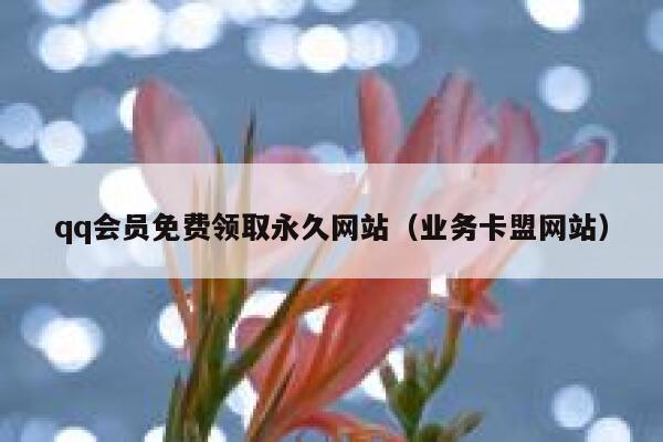 qq会员免费领取永久网站（业务卡盟网站） 第1张