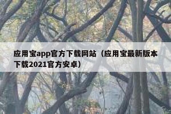 应用宝app官方下载网站（应用宝最新版本下载2021官方安卓） 第1张