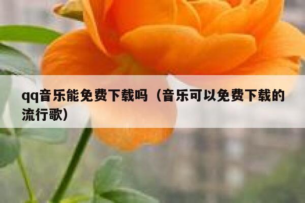 qq音乐能免费下载吗（音乐可以免费下载的流行歌） 第1张