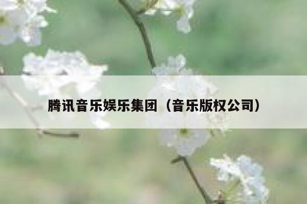 腾讯音乐娱乐集团（音乐版权公司） 第1张