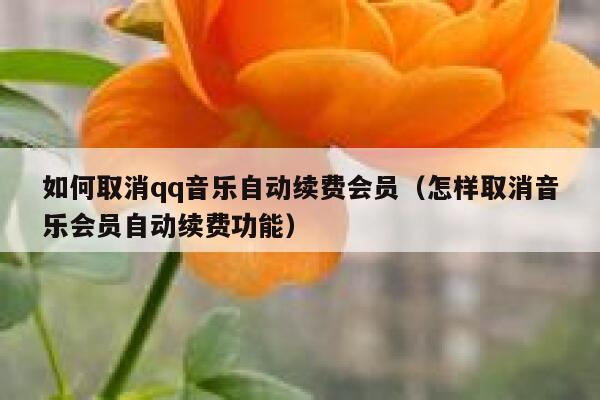 如何取消qq音乐自动续费会员(怎样取消音乐会员自动续费功能) 第1张 如何取消qq音乐自动续费会员(怎样取消音乐会员自动续费功能) 第1张