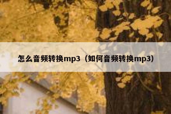 怎么音频转换mp3（如何音频转换mp3） 第1张