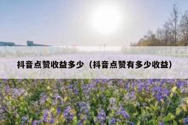 抖音点赞收益多少(抖音点赞有多少收益) 第1张 抖音点赞收益多少(抖音点赞有多少收益) 第1张