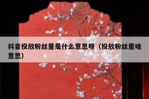 抖音投放粉丝量是什么意思呀（投放粉丝量啥意思） 第1张