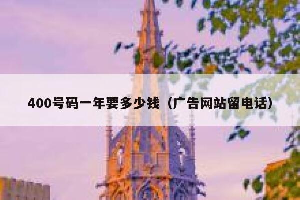 400号码一年要多少钱（广告网站留电话） 第1张