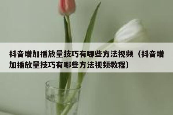 抖音增加播放量技巧有哪些方法视频(抖音增加播放量技巧有哪些方法视频教程) 第1张 抖音增加播放量技巧有哪些方法视频(抖音增加播放量技巧有哪些方法视频教程) 第1张