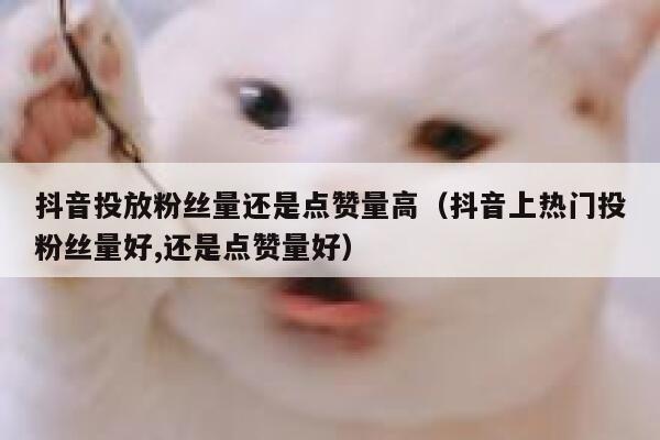 抖音投放粉丝量还是点赞量高（抖音上热门投粉丝量好,还是点赞量好） 第1张