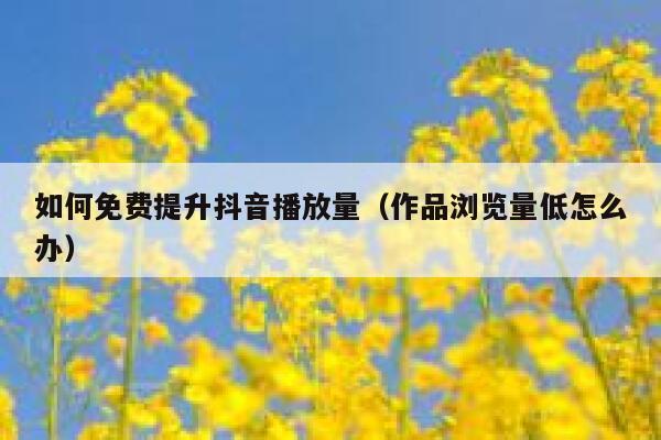 如何免费提升抖音播放量（作品浏览量低怎么办） 第1张